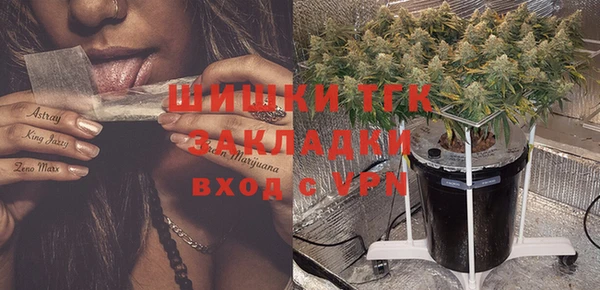 ПСИЛОЦИБИНОВЫЕ ГРИБЫ Алексин