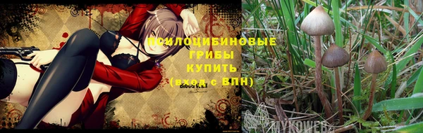 ПСИЛОЦИБИНОВЫЕ ГРИБЫ Алексин