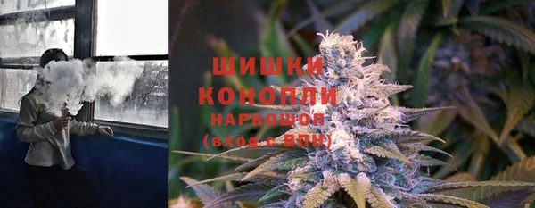 ПСИЛОЦИБИНОВЫЕ ГРИБЫ Краснослободск